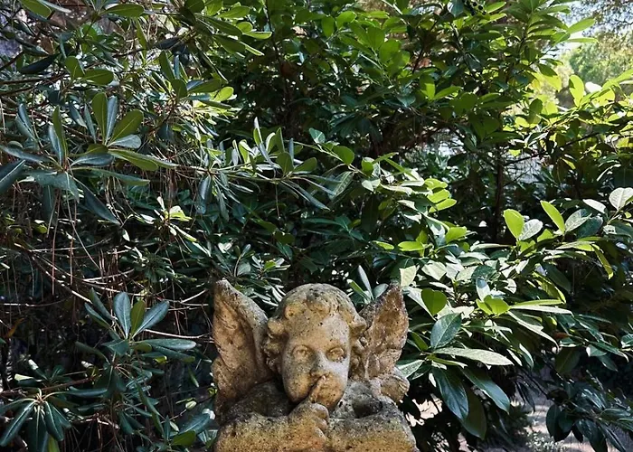 Un Nido Nel * 체르비아